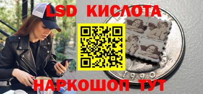 спиды Донской
