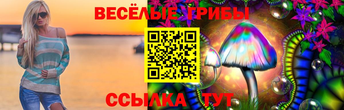 Галлюциногенные грибы GOLDEN TEACHER  Вход с VPN  Мариинск 
